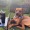 a dog sitting in a lawn chair